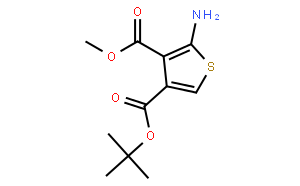 4-TERT-叔丁氧羰氨基噻吩-3-羧酸甲酯