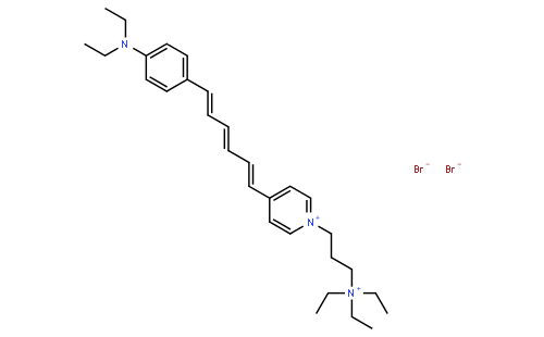 NeurotransRed C2 [N-(3-Triethylammoniumpropyl)-4-(6-(4-Diethylamino)phenyl)hexatrienyl)Pyridinium Dibromide],