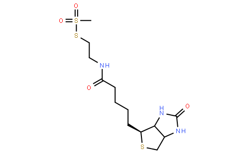 N-Biotinylaminoethyl Methanethiosulfonate