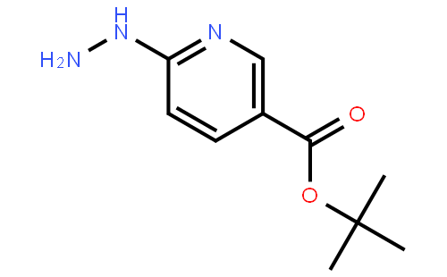 tert-butyl 6-hydrazinylnicotinate