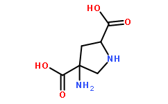 (2R,4R)-APDC(169209-63-6)