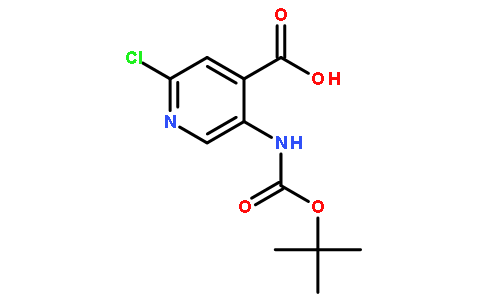 5-((tert-Butoxycarbonyl)amino)-2-chloroisonicotinic acid