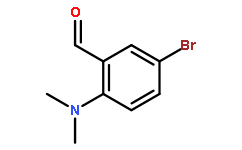 5-溴-2-(二甲基氨基)苯甲醛