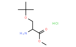 H-Ser(tBu)-OMe.HCl