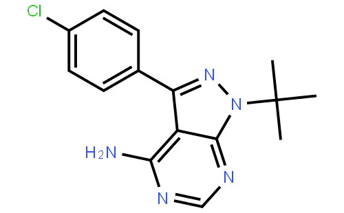 PP2