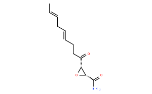 脂肪酸合成酶（FAS）抑制剂