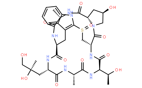 Phalloidin from Amanita phalloides