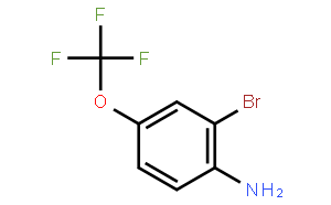 2-溴-4-三氟甲氧基苯胺