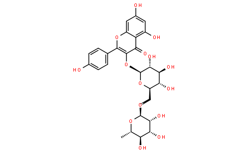 莰菲醇-3-O-芸香糖苷
