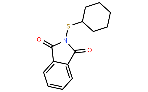 N-环己基硫代酞酰亚胺
