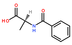 (R)-2-苯酰胺基丙酸