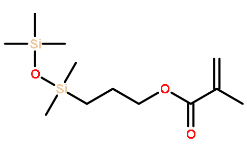 3-METHACRYLOXYPROPYLPENTAMETHYLDISILOXANE