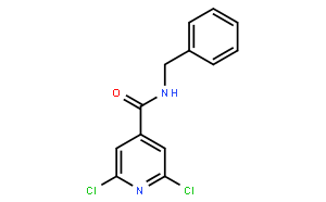 N4-苄基-2,6-二氯吡啶-4-酰胺