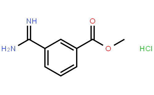 3-methoxycarbonyl benzamidine HCL