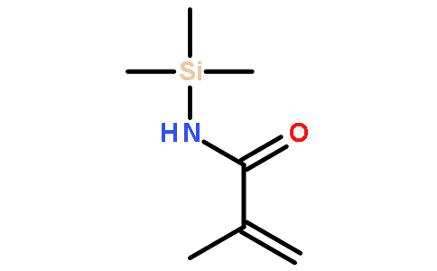 METHACRYLAMIDOTRIMETHYLSILANE