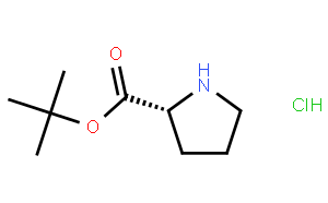 D -脯氨酸叔丁基酯鹽酸鹽