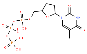 2'-脱氧胸苷-5'-三磷酸三钠，二水
