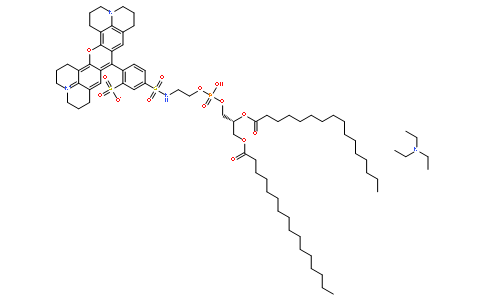 Sulforhodamine 101 DHPE  [N-(Rhodamine 101 sulfonyl)-1,2-hexadecanoyl-sn-4-phosphoethanolamine, triethylammonium salt],