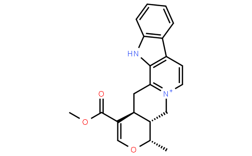 Serpentine