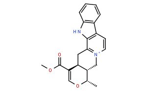 Serpentine