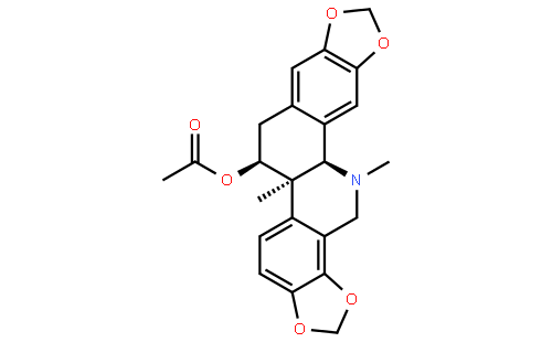 Acetylcorynoline