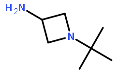 1-叔丁基-3-氨基氮杂环丁烷