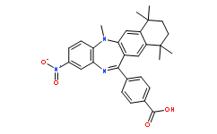 HX 531