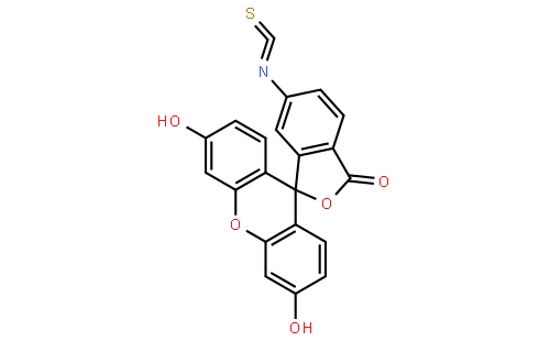 6-异硫氰酸荧光素