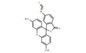 荧光素-6-异硫氰酸酯	(异构体II)