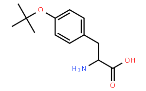 H-Tyr(tBu)-OH