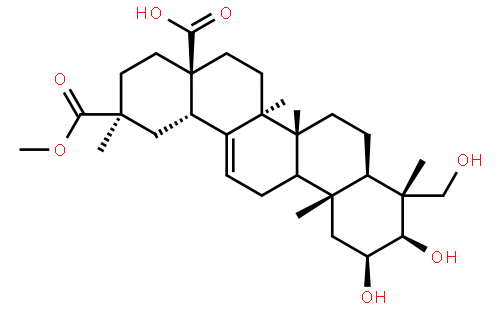 Phytolaccagenin