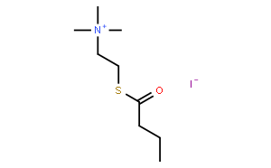 碘化丁酰硫代胆碱