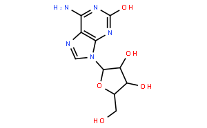 Isoguanosine
