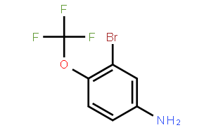 3-溴-4-(三氟甲氧基)苯胺