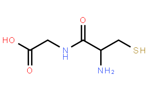 半胱氨酰甘氨酸