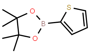 2-(4,4,5,5-四甲基-1,3,2-二氧杂戊硼烷-2-基)噻吩