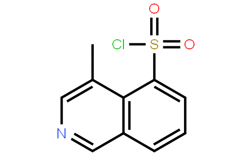 5-氯磺酰基-4-甲基异喹啉