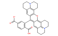 6-Carboxy-X- rhodamine; 6-ROX