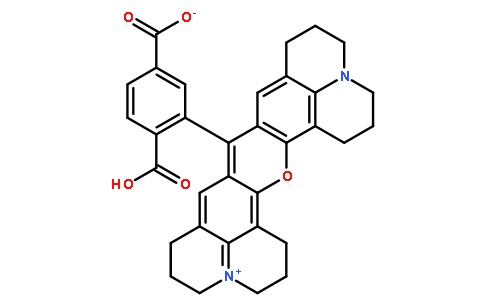 6-羧基-X-罗丹明