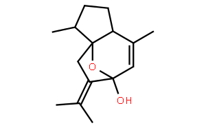 莪術(shù)烯醇