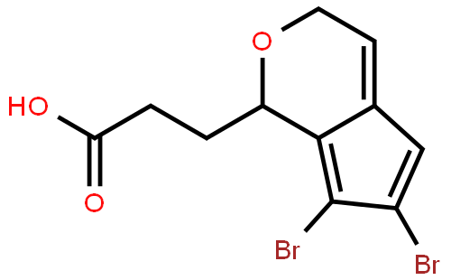 3-(6,7-Dibromo-2,3-dihydrobenzofuran-5-yl)propanoic Acid