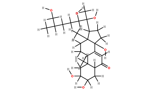 25R-Inokosterone
