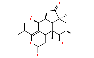 竹柏内酯B