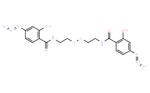 双(β-[4-叠氮水杨酰氨基]乙基)二硫醚1