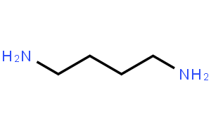 1,4-二氨基丁烷