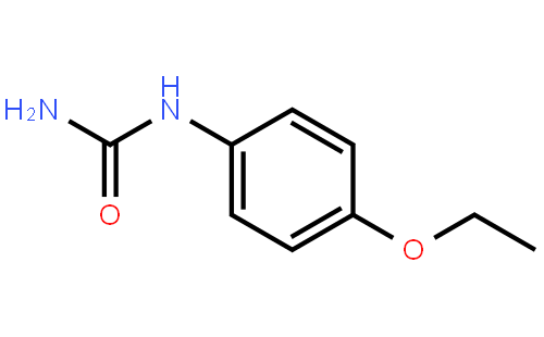N-(4-Ethoxyphenyl)urea