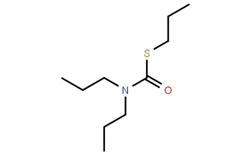 Vernolat