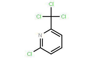 2-氯-6-(三氯甲基)吡啶