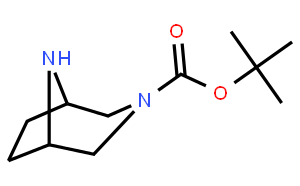 3,8-Diaza-bicyclo[3.2.1]octane-3-carboxylic Acid tert-butyl Ester
