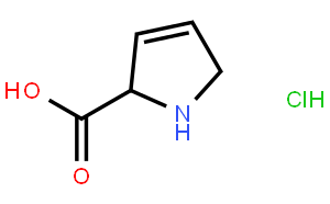 3,4-脫氫-L-脯氨酸鹽酸鹽